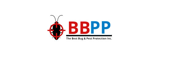 BBPP Wasps Removal Service in Bolton - At Affordable Costs