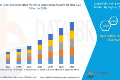 Global Palm Vein Biometrics Market to Register Highest CAGR Growth of 21.20% by 2029: Analysis by Segmentation, Competitors Analysis, Product Research and Future Trends