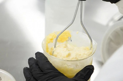 Which Method of CBD Extraction Is Best?