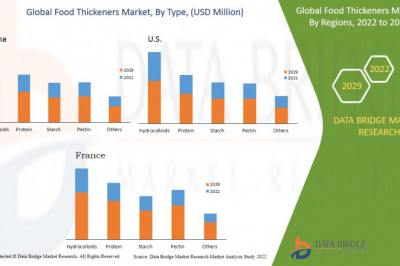 Global Food Thickeners Market Growing to Unveil a Remarkable CAGR of 5.5% By 2029, Key Drivers, Size, Share, Demand and Opportunity Analysis