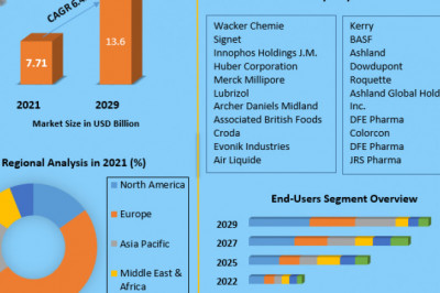 Pharmaceutical Excipients Market Analysis of the World's Leading Suppliers, Sales, Trends and Forecasts up to 2029