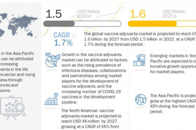 Global Vaccine Adjuvants Market to Reach USD 1.6 Billion By 2027