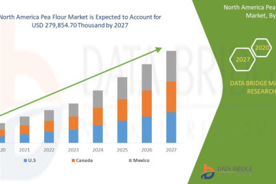 North America Pea Flour Market Set to Expand with Growing Vegan Population