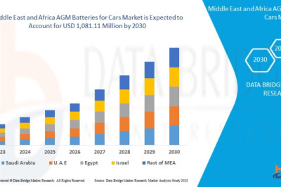 AGM Batteries for Cars Market in Middle East and Africa: Challenges and Opportunities