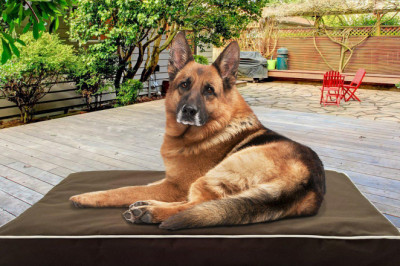 The Ultimate Guide to Orthopedic Dog Beds: Why Your Pet Deserves the Best