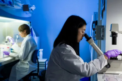 Navigating the Complex World of Preclinical Research