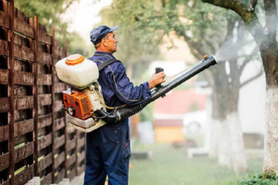 How to Choose a Bed Bug Exterminator in Missouri City