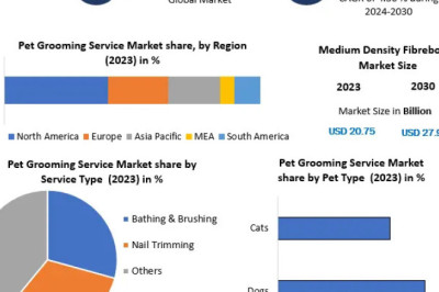 Pet Grooming Service Market Outlook: Innovation, Convenience, and Comfort
