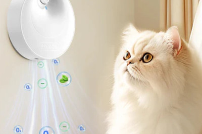 Rojeco UK: Smart Pet Care Solutions for Happy, Healthy Pets 🐶🐱