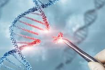Gene Editing Market Outlook 2032: Industry Structure, Growth Drivers, and Competitive Landscape