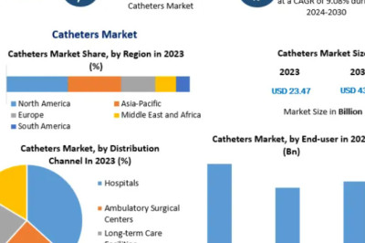 Catheters Market Gains Momentum with Advancements in Medical Devices