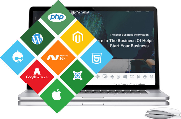 Web Software Development in Panchkula - Techmind Softwares