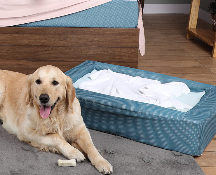 Pet Bed Online