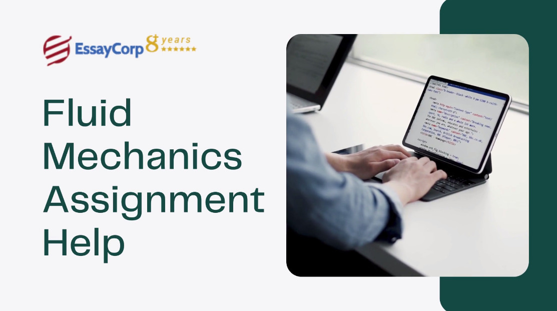 Get free rework policies on your Fluid Mechanics Assignment for a lifetime!
