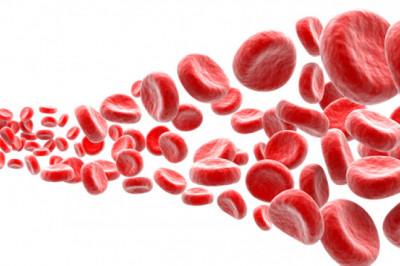 Diseases of The Blood - Herbs for Blood Problems