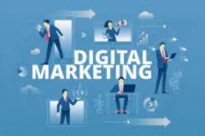 Website Design and Development