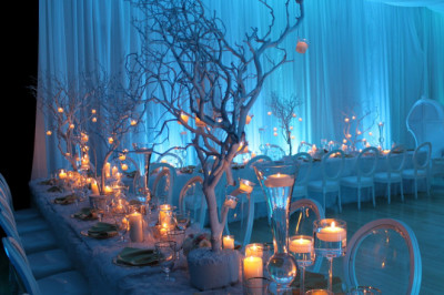 Celebrations and Special Event Planning