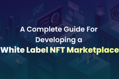 A Complete Guide to the Development of the White Label NFT Marketplace