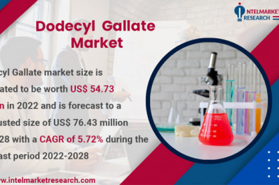 Dodecyl Gallate Market 2022 | Business Analysis, Scope, Size, Overview, and Forecast 2028