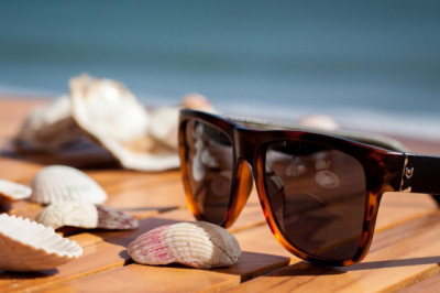 Are you looking for the best optical store?