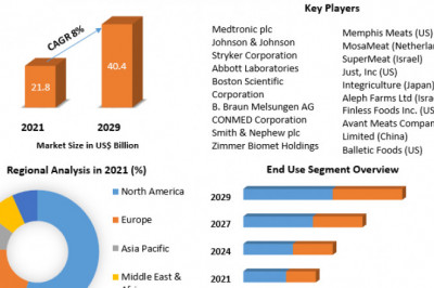 Minimally Invasive Surgical Instruments Market Segmentation with Competitive Analysis, Top Manufacturers and Forecast 2029