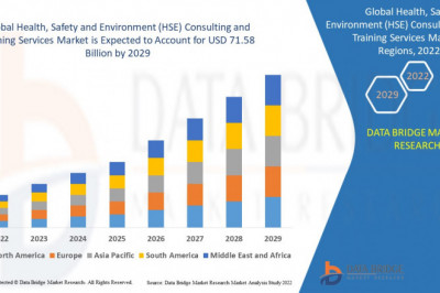 Health, Safety and Environment (HSE) Consulting and Training Services Market Analysis
