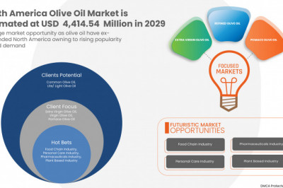 North America Olive Oil Market Opportunity Analysis, Competition During the Period Until 2029