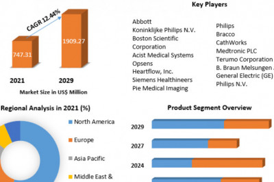 Fractional Flow Reserve Market Risk Factors, Economic Fluctuations, Drivers in Future Analysis by 2029