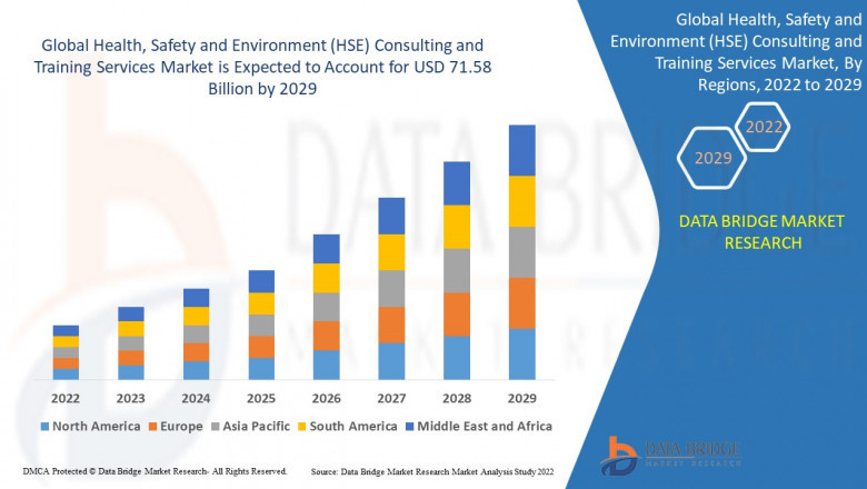 Global Health, Safety and Environment Consulting and Training Services Market