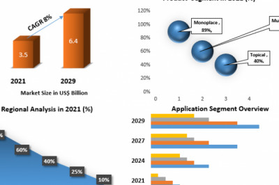 Hyperbaric Oxygen Therapy Market Size, Major Drivers, Supply, Trends Analysis Report by Trend Type And Forecast 2029