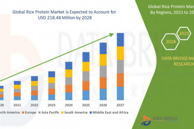 Rice Protein Market opportunity Analysis and Industry &amp; Future Growth, Revenue .
