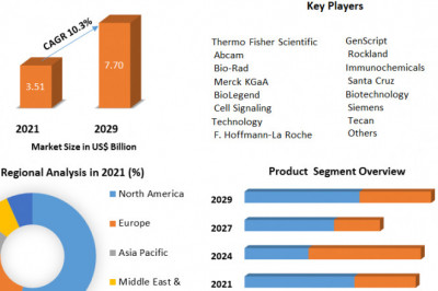Neuroscience Antibodies &amp; Assays Market Trends, Active Key Players and Growth Projection Up to 2029