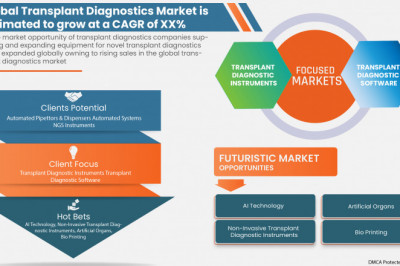 Global Transplant Diagnostics Market to Reach USD 10,139.38 million with a 6.8% CAGR