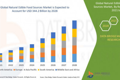 Natural Edible Food Sources Market size, Scope, Growth Opportunities, Trends by Manufacturers And Forecast to 2028