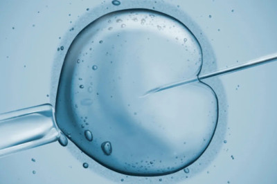 Complete Fertility Care: Going Beyond IVF Treatment at Fertility Centers