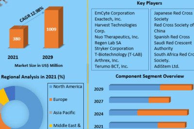 Global Platelet Plasma Market New Opportunities, Company Profile And Sales Revenue