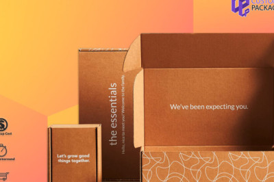 Cardboard Boxes