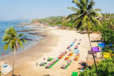The 7 Best Things To Do In Goa