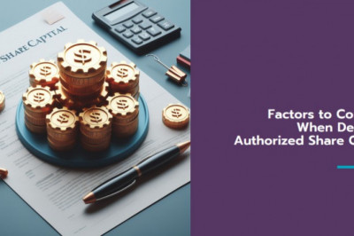 Factors to Consider when deciding Authorized Share Capital