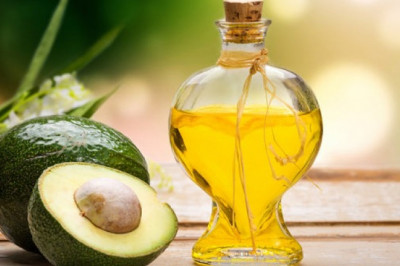 Detailed Plant Setup Report on Avocado Oil Processing Includes Business Plan, Layout and Cost Analysis