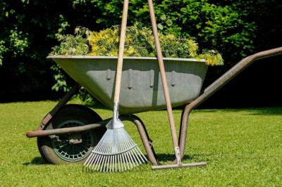 Who Should I Contact for Professional Green Waste Removal Services?