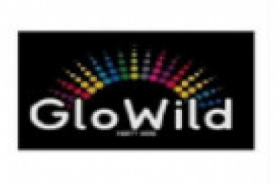 GloWild Party Hire