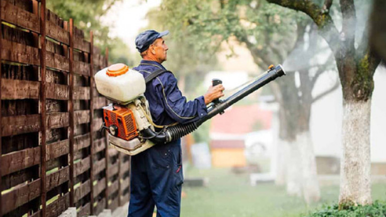 How to Choose a Bed Bug Exterminator in Missouri City