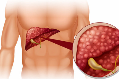 Explain the Different Liver Enzymes and Their Significance
