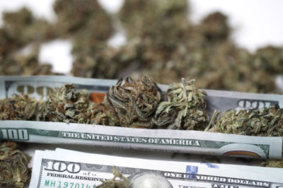 Cannabis Prices Explained: Compare Cost and Quality