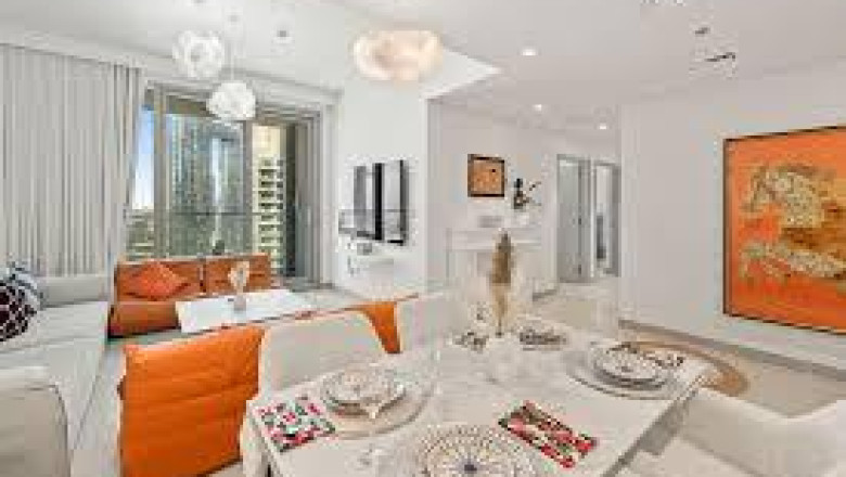 Why Do Yoou Need Professional Pest Control Services Dubai